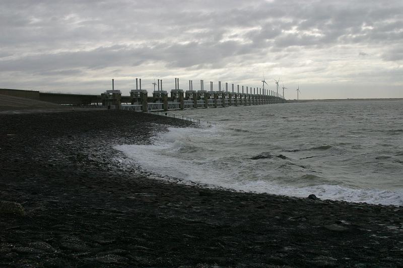2012-01-21 13-33-46 Ludo.JPG